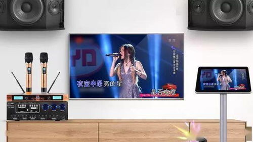 电视机 机顶盒 电脑能取代ktv音响设备中的点歌机吗