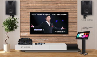 这个家庭卡拉ok系统,能让你的客厅变成影音室哦