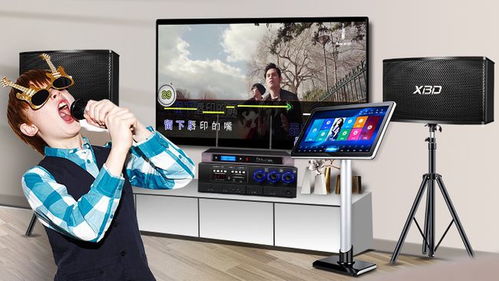 炫宝迪点歌机哪款型号更优？音质效果与评测全面解析